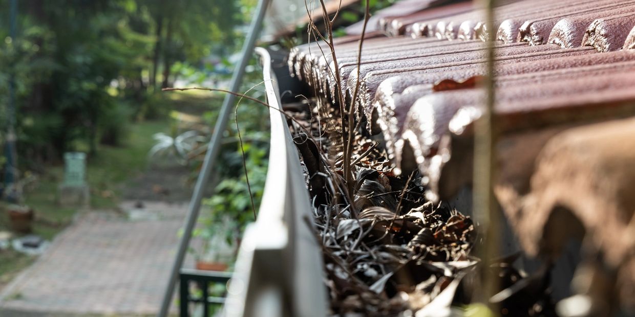 Gutter cleaning prevents water damage, pests, extends your roof's life while preserving curb appeal.