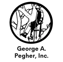 Pegher Tree Service