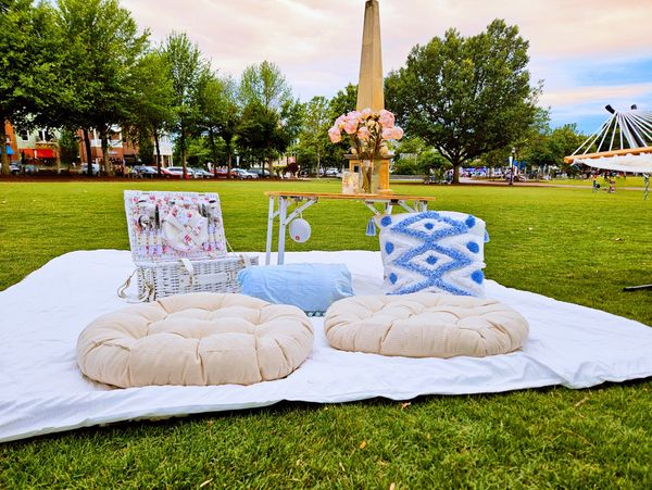 Luxury picnic suite, blanket on grass, luxury outdoor parties in Georgia 