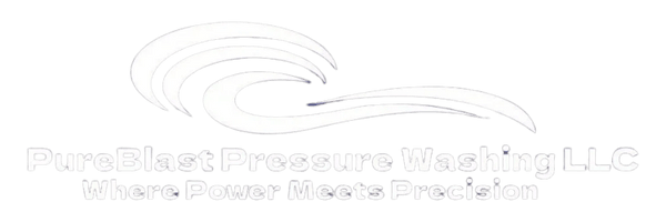 PureBlast Pressure Washing LLC
 
"Where Power Meets Precision"
