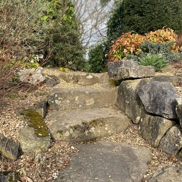 Stone steps surrounded by greenery in a garden.
Out DISC assessment and analysis package.