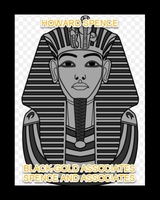 Howard's Black Progressive Political Consulting