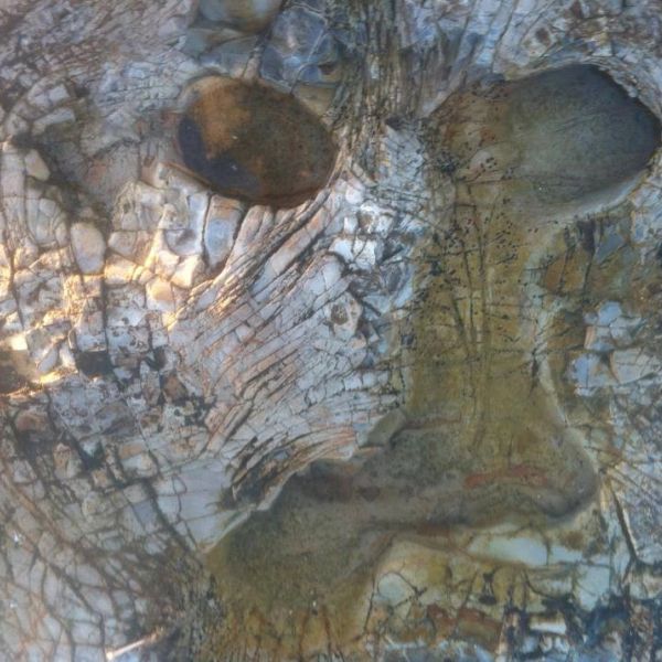 Close-up of a weathered stone surface with natural patterns and textures.