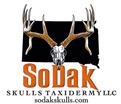 SoDak Skulls Taxidermy
European mounts & more