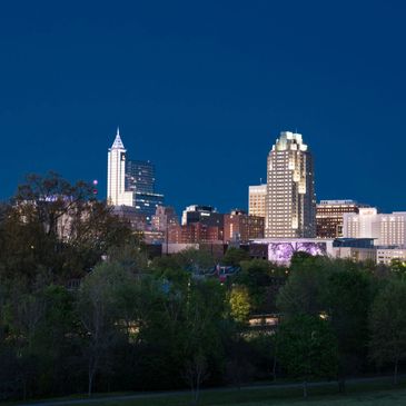 City skyline illuminated at night with trees in the foreground.