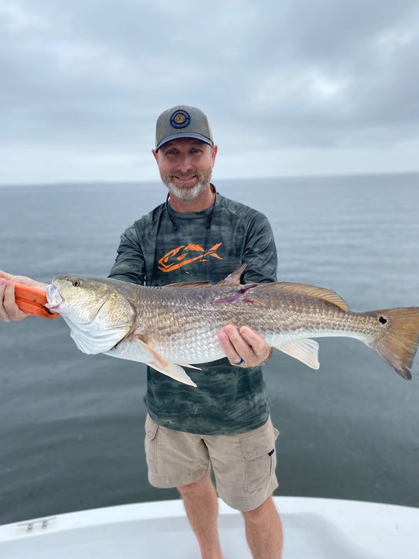 A big port st joe redfish