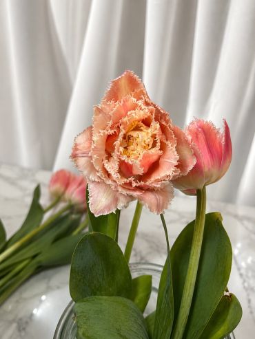 Pink flower 