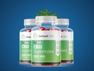 Zen Leaf CBD Gummies A Gateway to Natural Wellness
