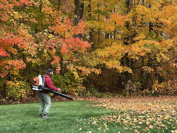 Leaf blowing with fall colours in background