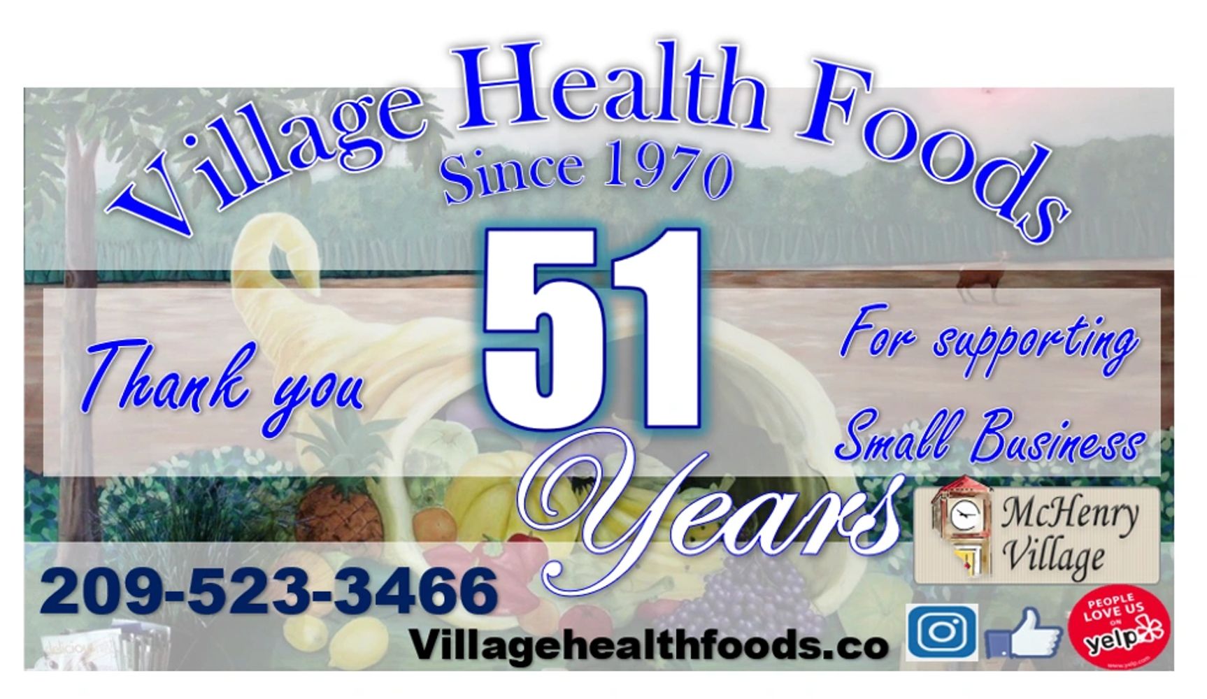 Village Health Foods