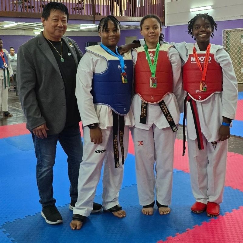 Taekwondo training moment