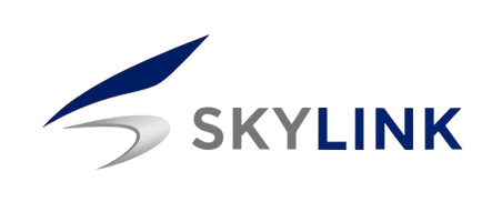 Skylink Services