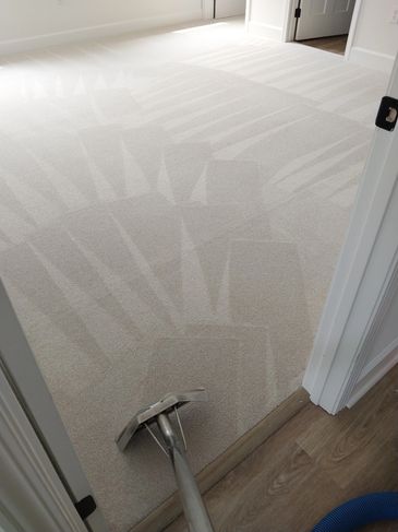 Professional Carpet Cleaning 