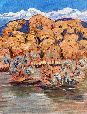 The Rio Grande Nature Center has wonderful places to paint - mountains, nature. and waterfowl.