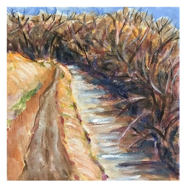 This acequia is at the Rio Grande Nature Center where I painted it plein aire.