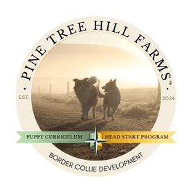 Pine Tree Hill Farms