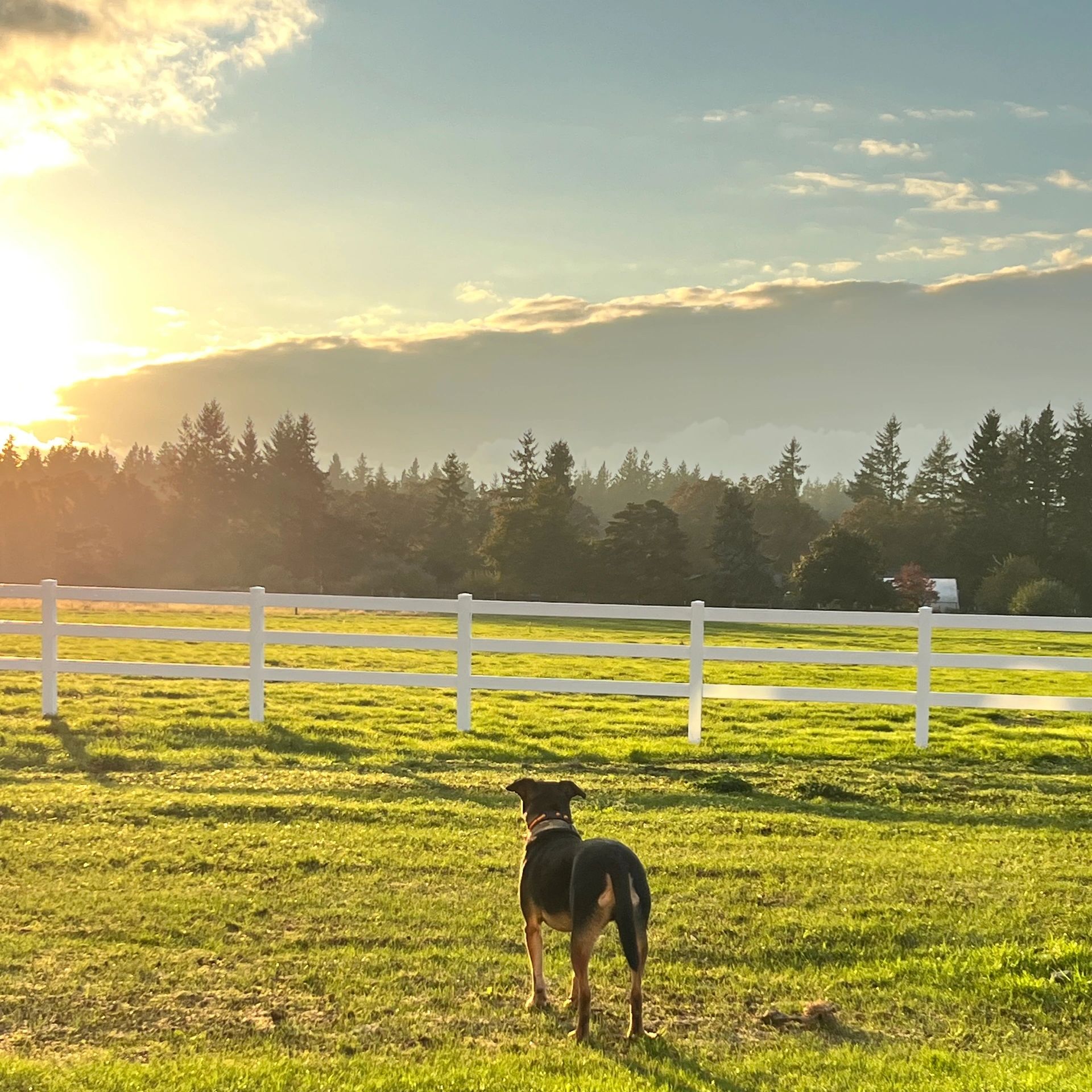 Still Creek Ranch