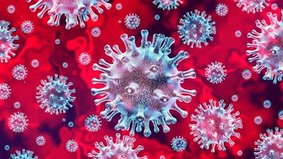 Coronavirus image