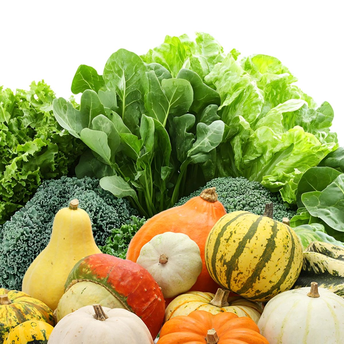 The Complete List of Rabbit-Safe Greens & Fruits