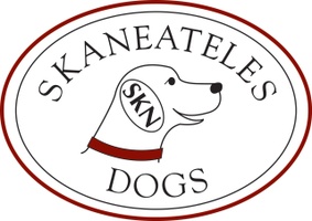 Skaneateles Dogs