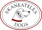 Skaneateles Dogs