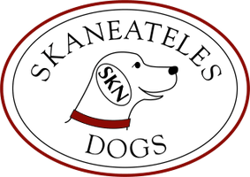 Skaneateles Dogs