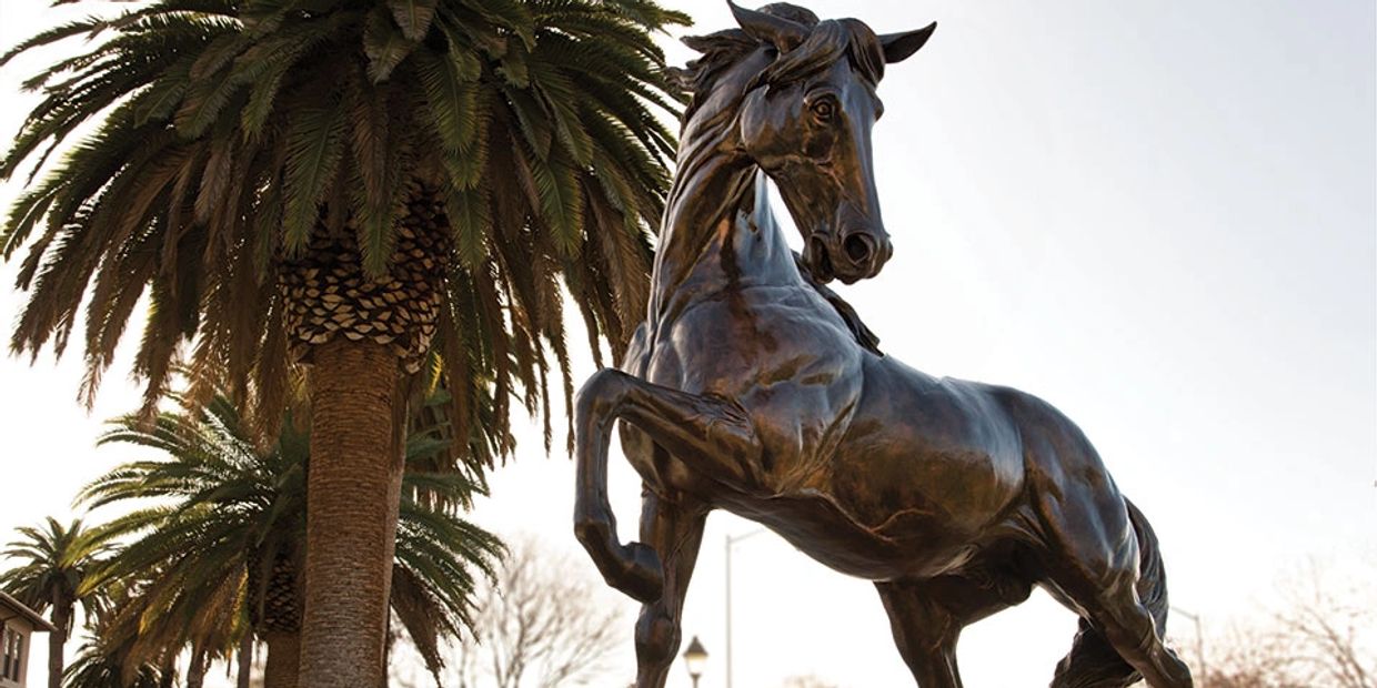 santa clara university bronco