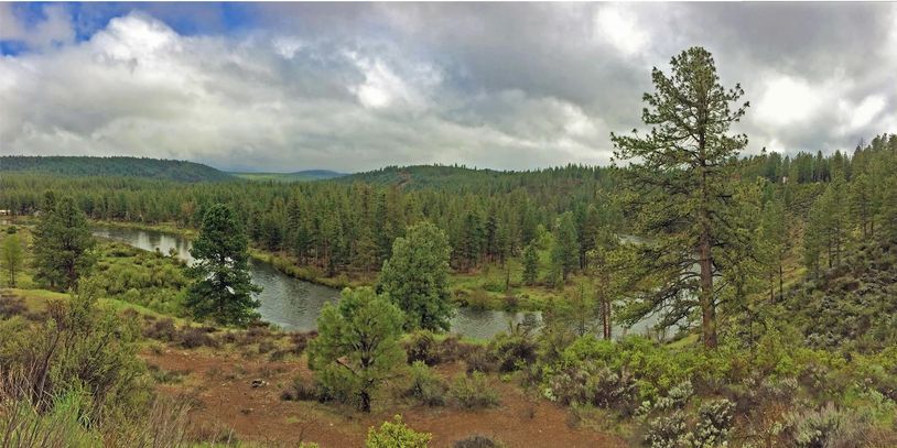 A river winding through a dense forest under a cloudy sky.