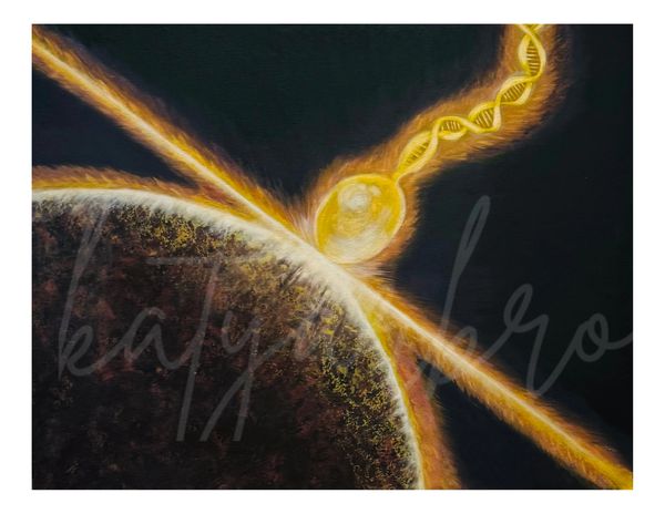 The Creation of Christ
			LET THERE BE LIGHT!