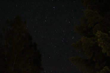 image38
