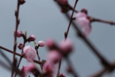 image27