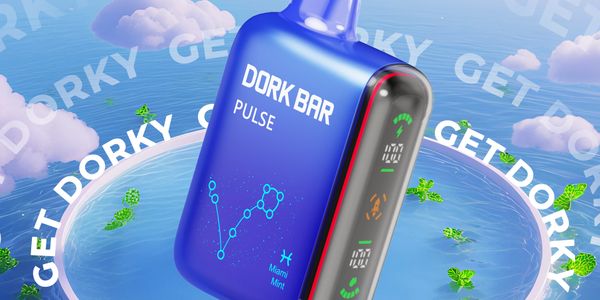 dork bars vape Geek Bar Pulse 15000 Disposable $14.98 main image 0
