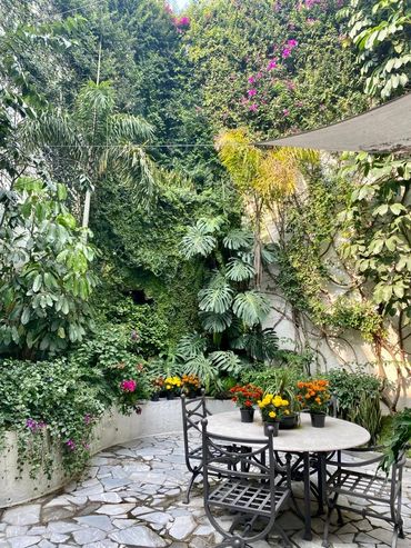CUAUTLA 55, CDMX