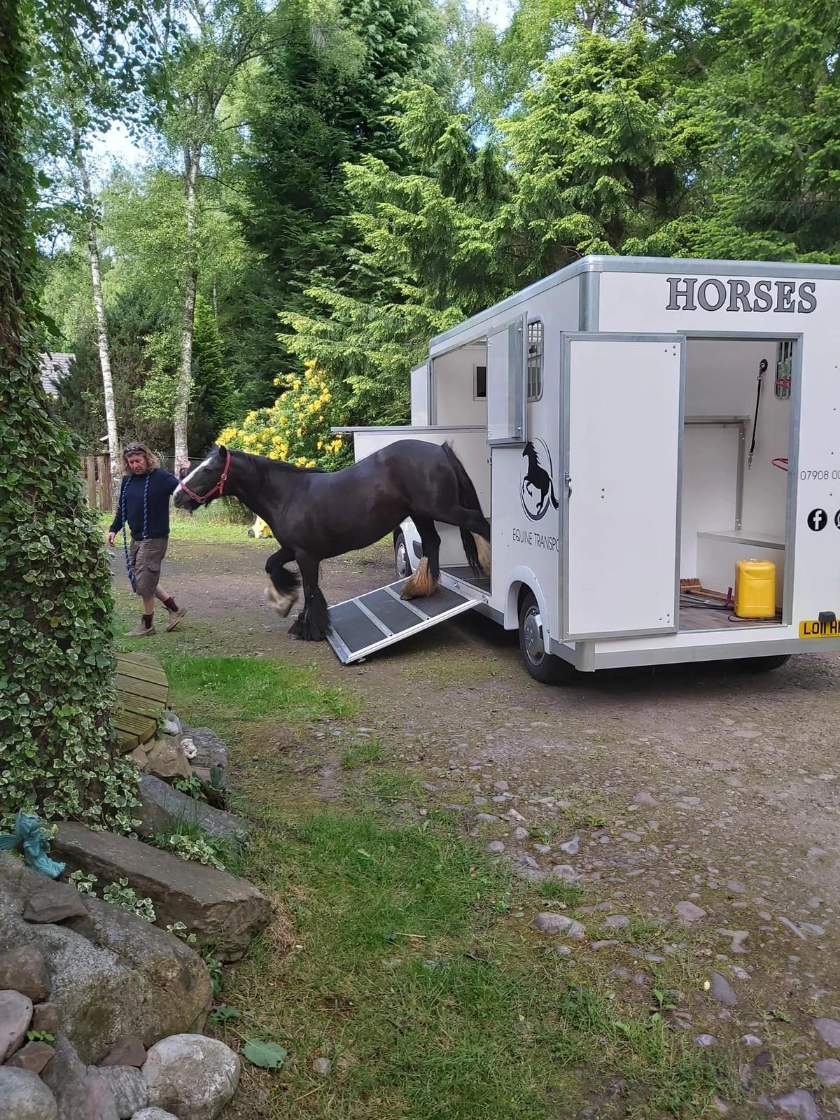 Nutmeg Equine Transport Horse Transport, Horse Transportation