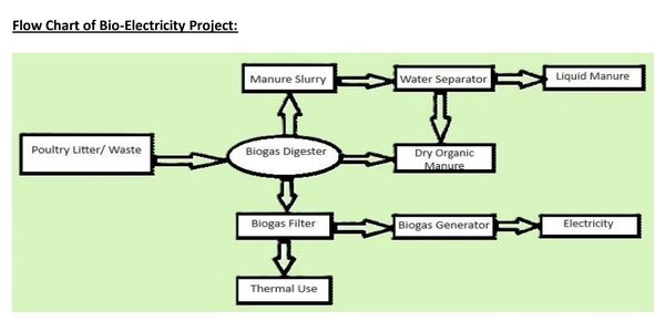 HOW TO PRODUCE BIOGAS FROM POULTRY LITTER OR ORGANIC WASTE?