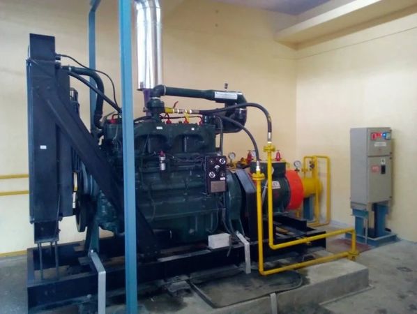 Biogas Generators