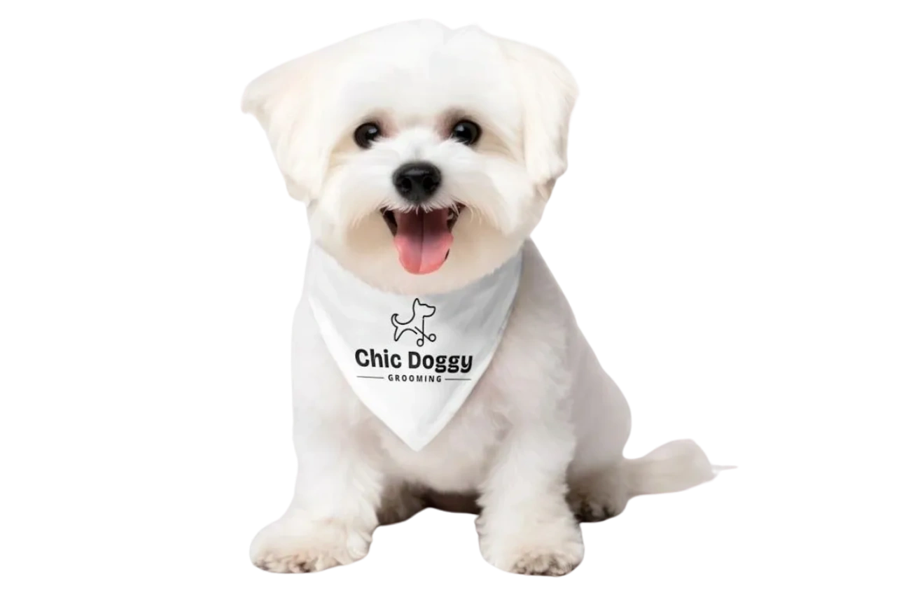Curated visual reference: Gallery Detail: Chic Doggy Grooming