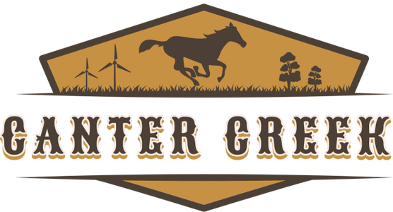 Canter Creek