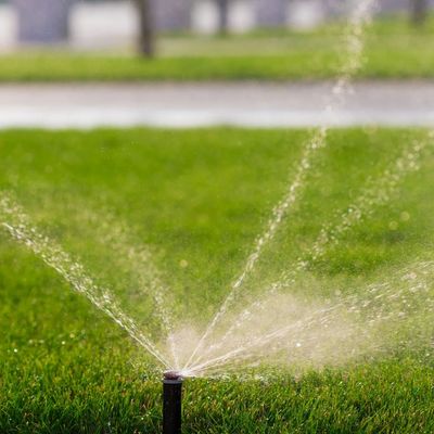 Sprinkler & Irrigation Repair Valrico, Brandon & Riverview