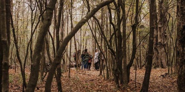 Group of people walking in a dense forest.