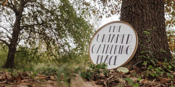 A round sign leaning against a tree in a forest.