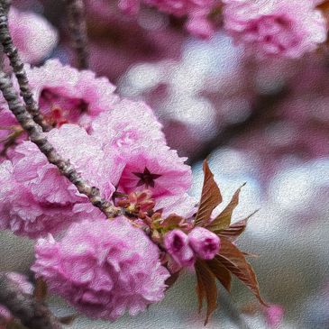 Photography is magical. It freezes time and allows us to see the beauty everywhere around us.