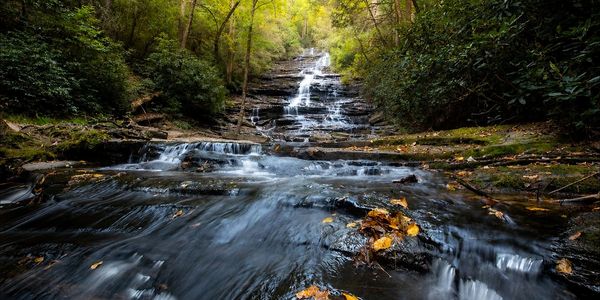 Blue Ridge is surrounded by some of North Georgia’s most beautiful waterfalls and scenic hiking trai