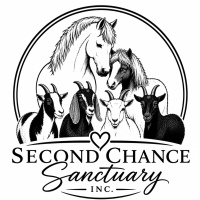SC Sanctuary