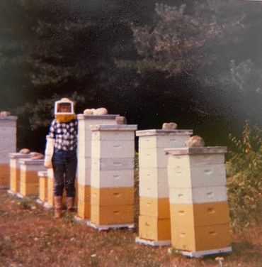 1987 in the bee yard