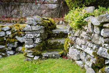 Steps to Renata's yard