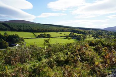 The view from a walk