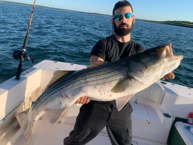 59 inch striped bass 