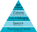 ESTEEM1HOME LLC
