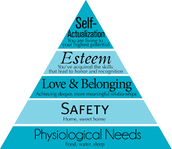 ESTEEM1HOME LLC